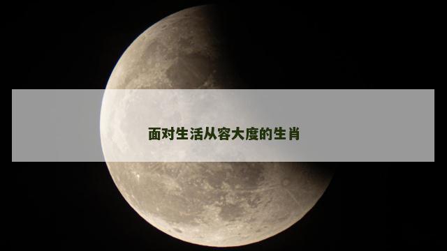 面对生活从容大度的生肖