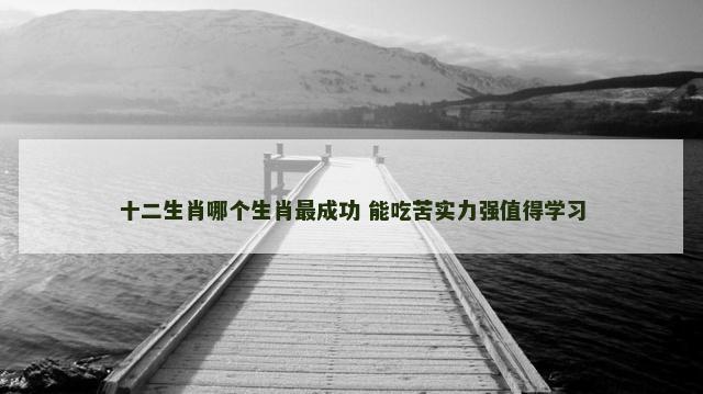 十二生肖哪个生肖最成功 能吃苦实力强值得学习