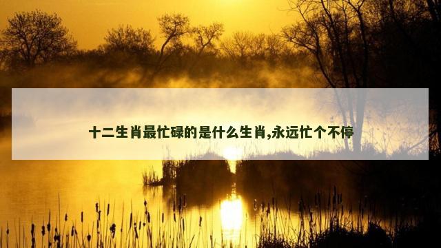 十二生肖最忙碌的是什么生肖,永远忙个不停