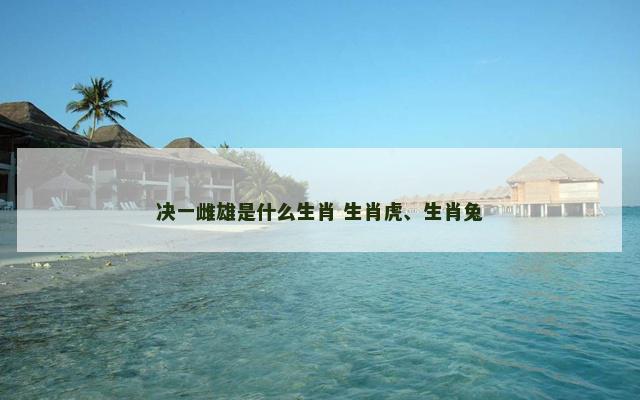 决一雌雄是什么生肖 生肖虎、生肖兔