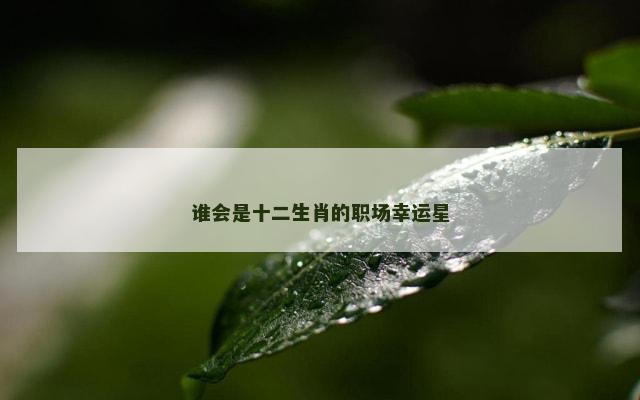谁会是十二生肖的职场幸运星
