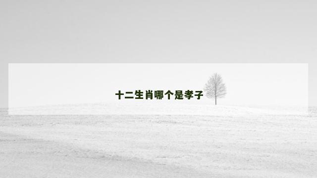 十二生肖哪个是孝子