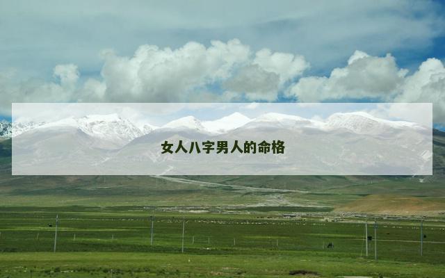 女人八字男人的命格