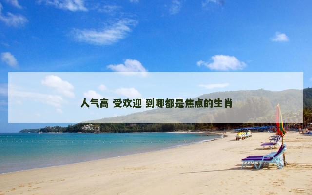 人气高 受欢迎 到哪都是焦点的生肖