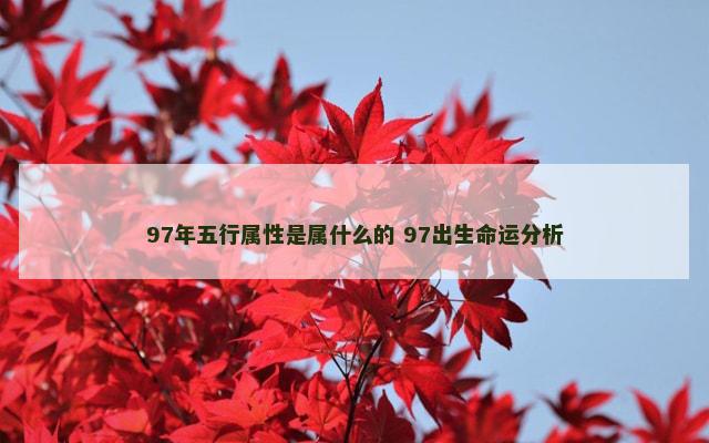 97年五行属性是属什么的 97出生命运分析