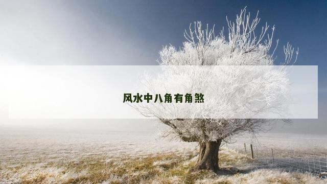 风水中八角有角煞
