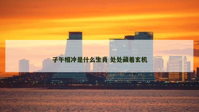 子午相冲是什么生肖 处处藏着玄机