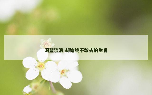 渴望流浪 却始终不敢去的生肖
