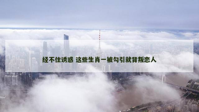 经不住诱惑 这些生肖一被勾引就背叛恋人