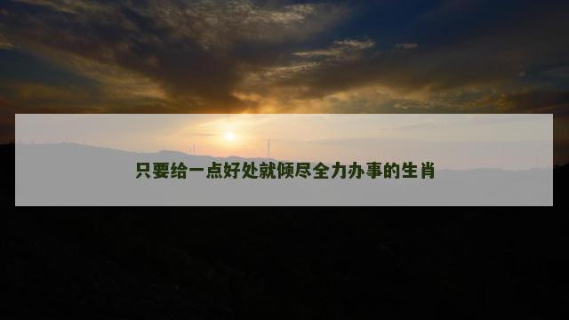 只要给一点好处就倾尽全力办事的生肖