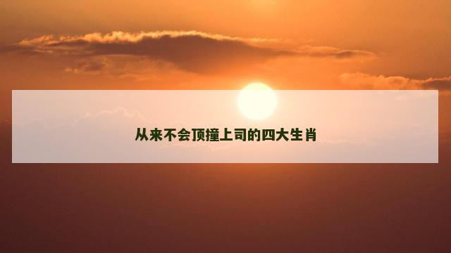 从来不会顶撞上司的四大生肖