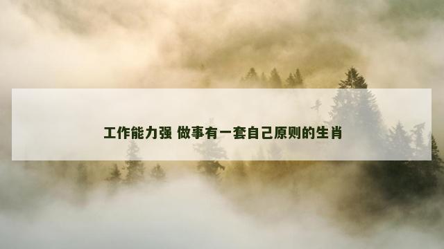 工作能力强 做事有一套自己原则的生肖