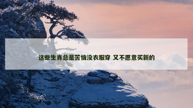 这些生肖总是苦恼没衣服穿 又不愿意买新的