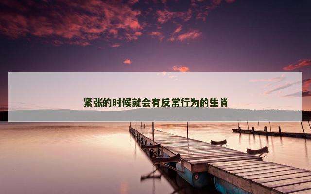 紧张的时候就会有反常行为的生肖