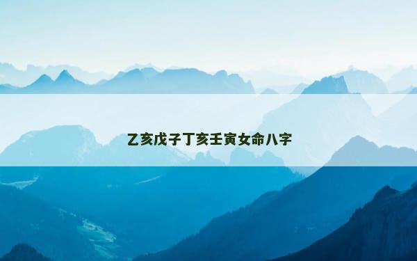 乙亥戊子丁亥壬寅女命八字