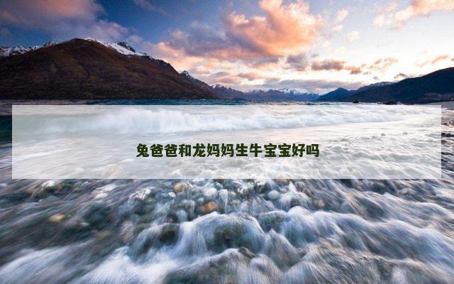 兔爸爸和龙妈妈生牛宝宝好吗