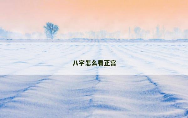 八字怎么看正宫