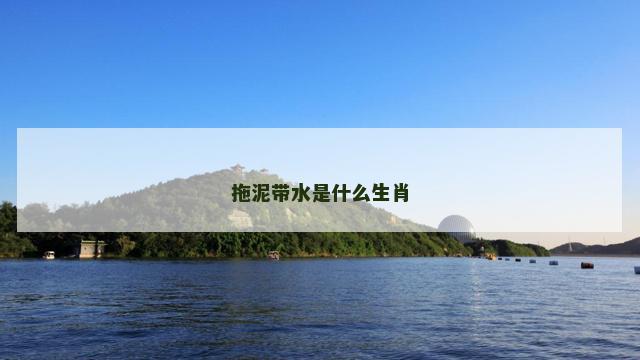 拖泥带水是什么生肖