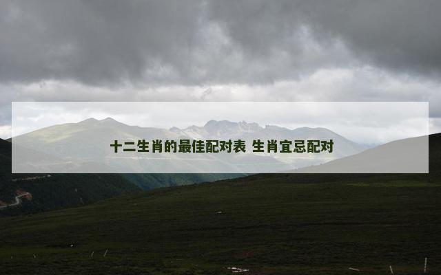 十二生肖的最佳配对表 生肖宜忌配对