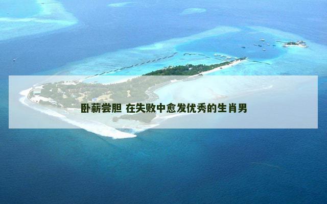 卧薪尝胆 在失败中愈发优秀的生肖男