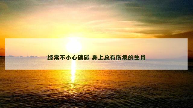 经常不小心磕碰 身上总有伤痕的生肖