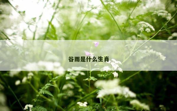 谷雨是什么生肖