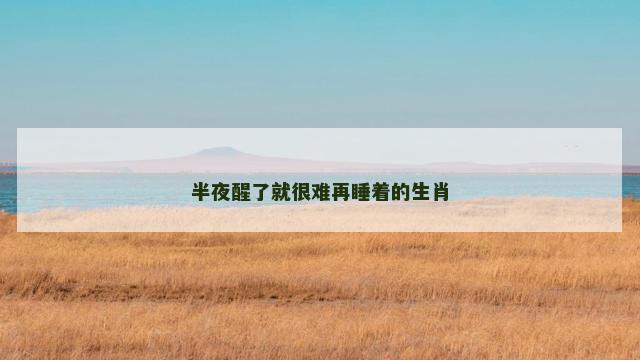 半夜醒了就很难再睡着的生肖