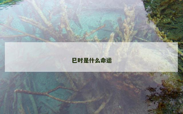 巳时是什么命运