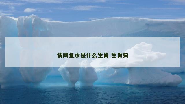情同鱼水是什么生肖 生肖狗