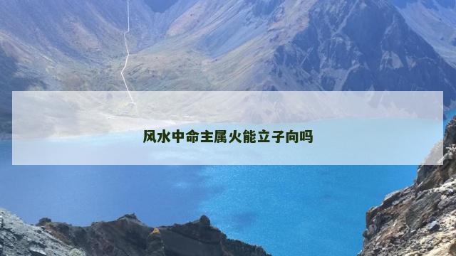 风水中命主属火能立子向吗