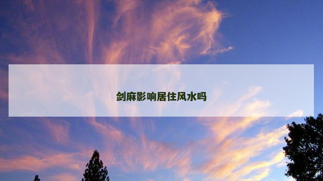 剑麻影响居住风水吗