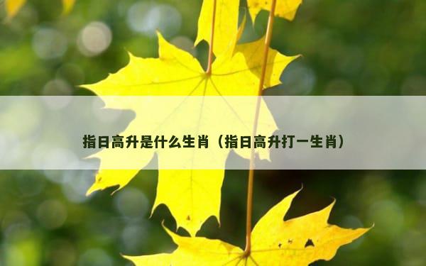 指日高升是什么生肖（指日高升打一生肖）