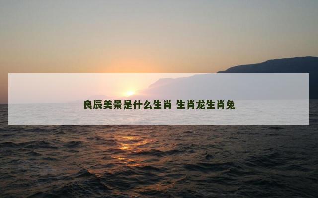 良辰美景是什么生肖 生肖龙生肖兔