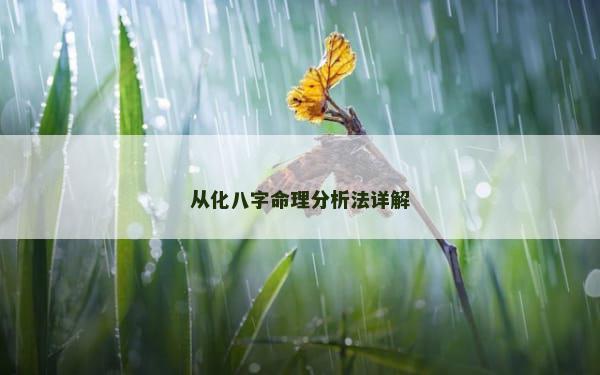 从化八字命理分析法详解