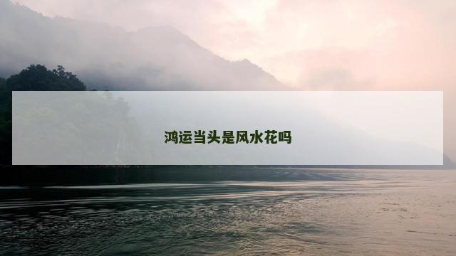 鸿运当头是风水花吗