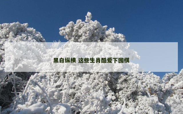 黑白纵横 这些生肖酷爱下围棋