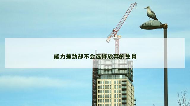 能力差劲却不会选择放弃的生肖