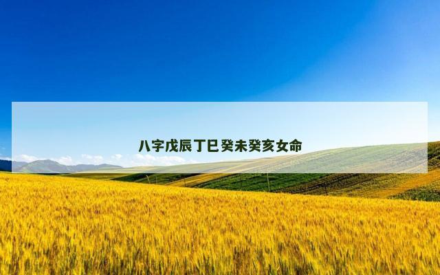 八字戊辰丁巳癸未癸亥女命