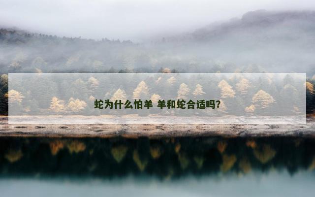 蛇为什么怕羊 羊和蛇合适吗？