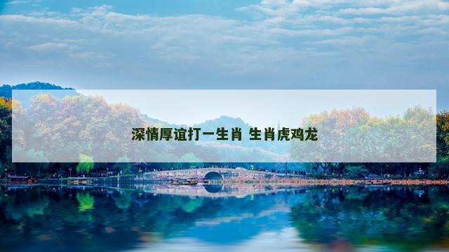 深情厚谊打一生肖 生肖虎鸡龙