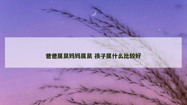 爸爸属鼠妈妈属鼠 孩子属什么比较好