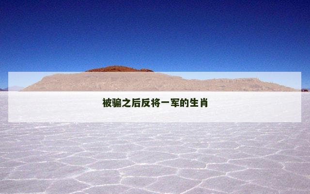 被骗之后反将一军的生肖