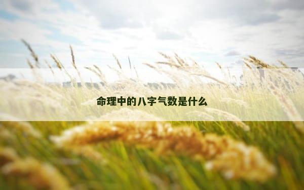 命理中的八字气数是什么