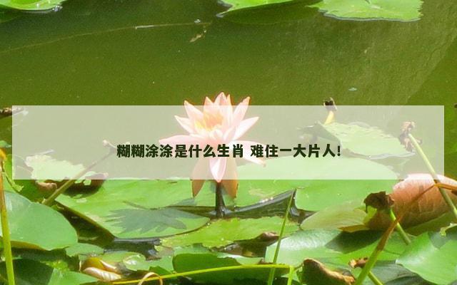 糊糊涂涂是什么生肖 难住一大片人！