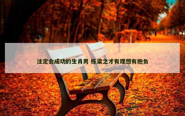 注定会成功的生肖男 栋梁之才有理想有抱负