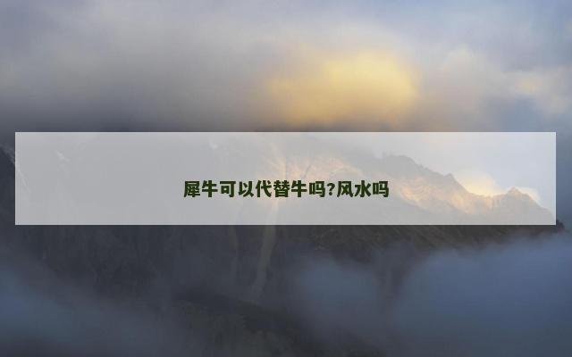 犀牛可以代替牛吗?风水吗