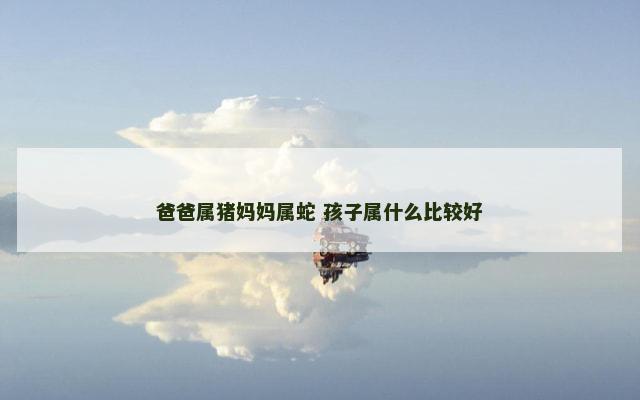 爸爸属猪妈妈属蛇 孩子属什么比较好