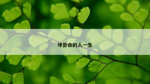 坤卦命的人一生