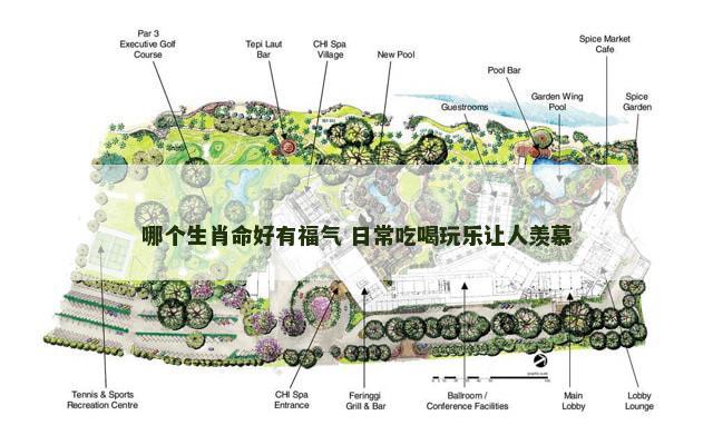 哪个生肖命好有福气 日常吃喝玩乐让人羡慕