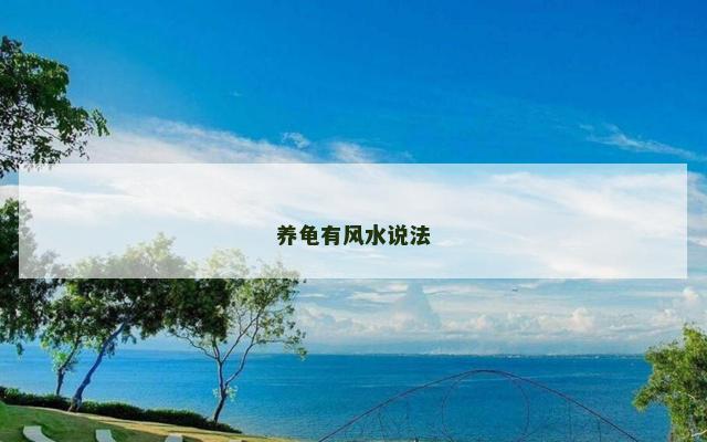 养龟有风水说法